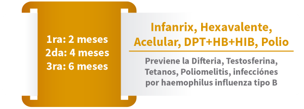 Esquema de Vacunación Infantil IPS Cajasan