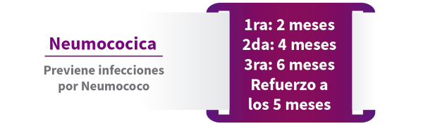 Esquema de Vacunación Infantil IPS Cajasan